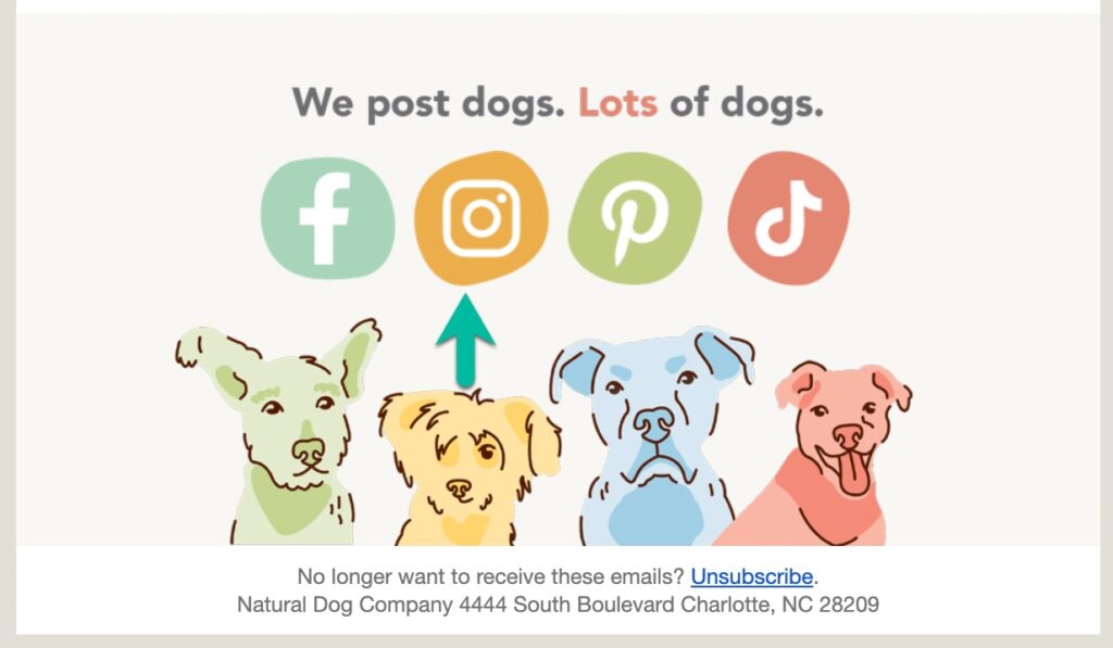 Instagram icon email marketing natural dog company