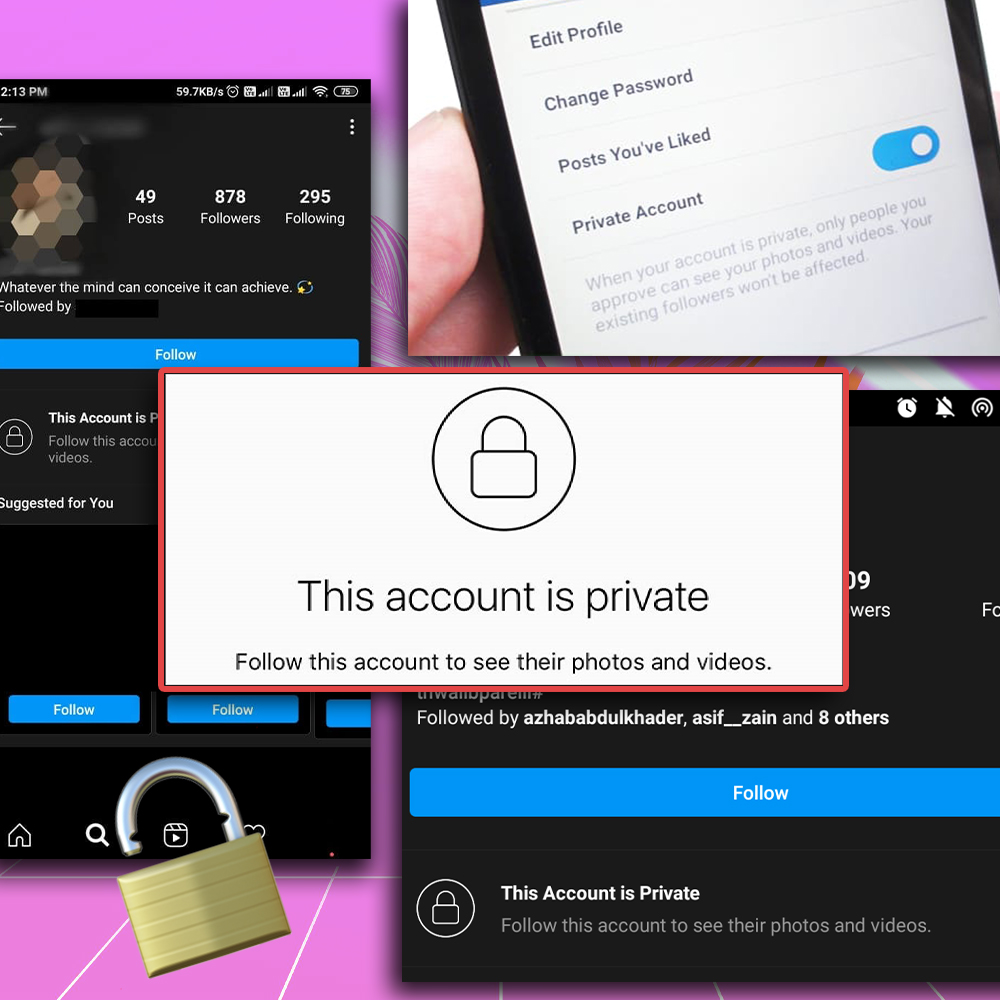 How to View Private Instagram Accounts Instantly in 2022 (7 Hacks)