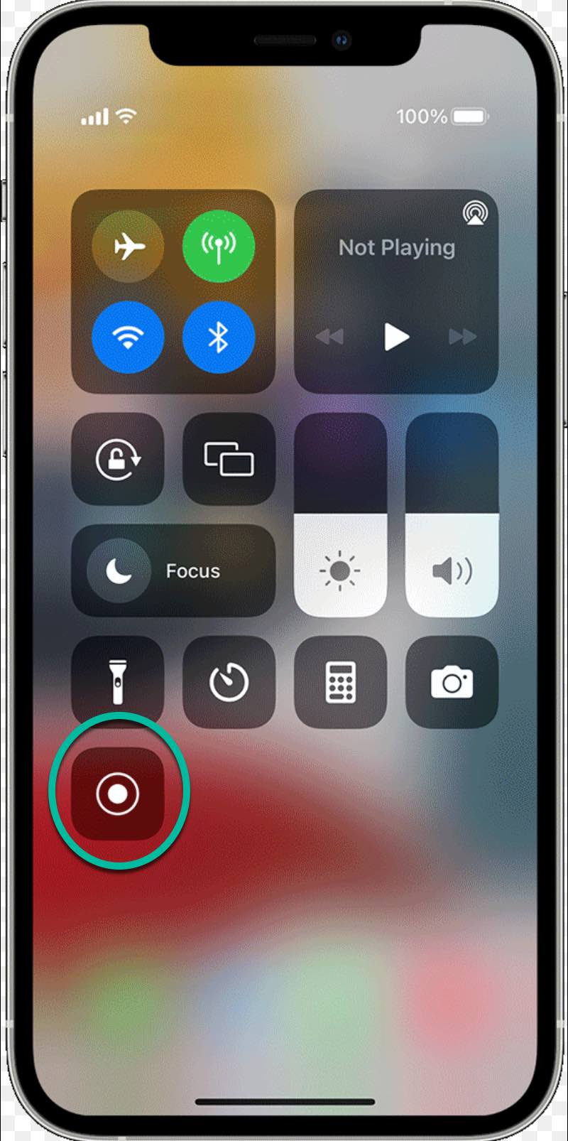 screen recorder button to download video reels